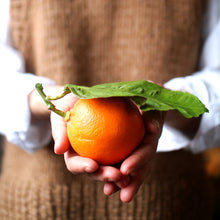 Last inn bildet i Galleri-visningsprogrammet, appelsin
